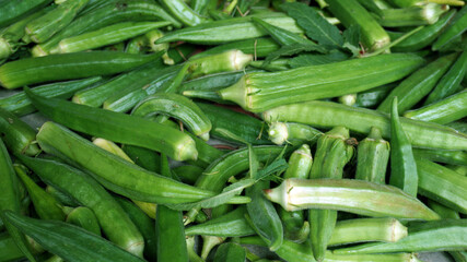 Lady's fingers is an alternative English name for okra, the mucilaginous seed pods of a plant of the hollyhock family.
