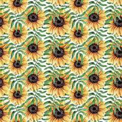 Watercolor Sunflower pattern, floral background.