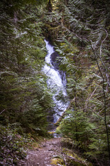 waterfall in the forest