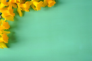 Naklejka na ściany i meble Bouquet of colorful yellow, orange and white daffodil flowers framing a green background