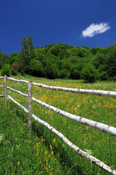 Scenic summer morning landscape in the Occidental Carpathians, Transylvania. Mountain rural scenery in Apuseni Mountains, Romania, Europe