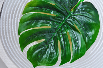 green leaf of monstera eco greenery with copy space for inscription