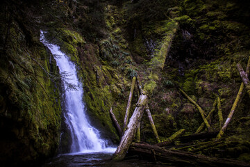 waterfall in the forest