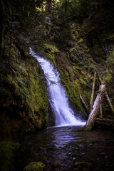 waterfall in the forest