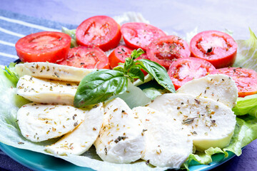 typical dish italy appetizer caprese salad with mozzarella lettuce tomato and basil the colors of the italian tricolor flag