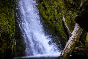 Hemlock Falls