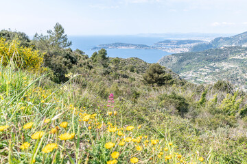 Obraz premium Paysage fleuri avec panorama sur la mer