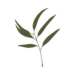 Eucalyptus leaves, vector shape