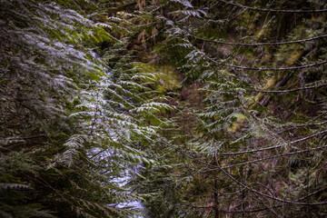 water in the background