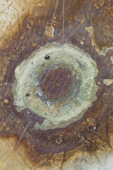Stone texture with variations and grooves