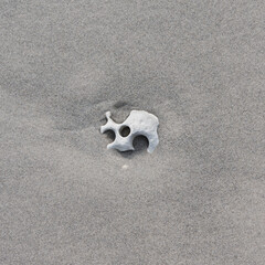 Hühnergott adder stone hagstone helgoland beach strand löcher holes stein sand meer ocean sea...
