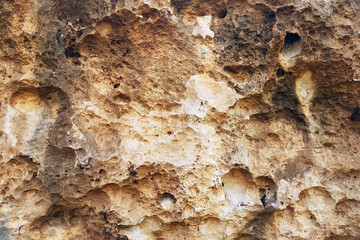 Cuba. Varadero Varaikakos Ecological Reserve. Limestone rocks texture