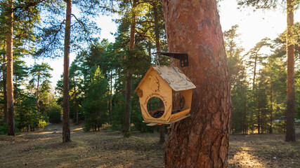 birdhouse on a tree