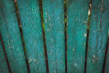 severely cracked blue paint on an old single plank garden fence