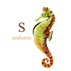 Watercolor illustration of a cute seahorse on white background. Cute animal alphabet series A-Z