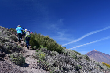 EXCURSIONISTAS CAMINANDO POR UN SENDERO DE MONTAÑA