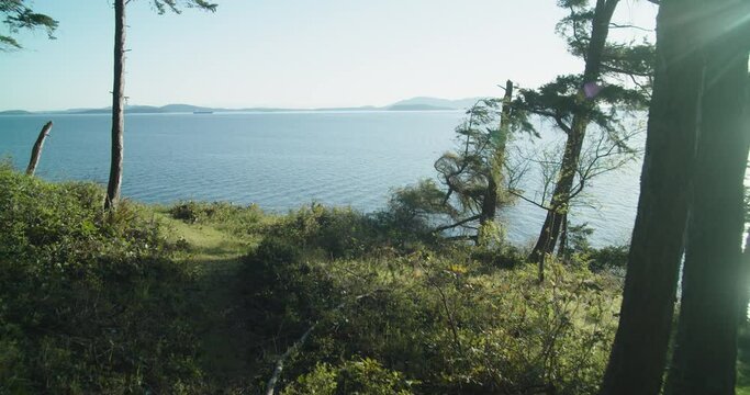 Pacific Coastal Forest with a view of Puget Sound near Seattle Washington