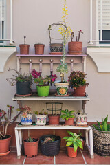 Fototapeta na wymiar Home decor. Garden furniture with pots with flowers and plants