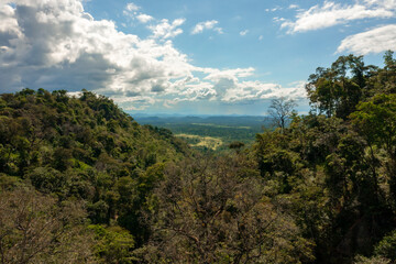 Obraz na płótnie Canvas aerial image with drone of the Amazon rainforest in Roraima Brazil