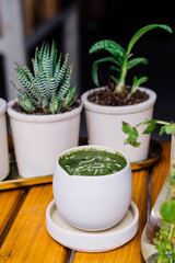 Green smoothie in a white jar on the wooden table with succulents on the background