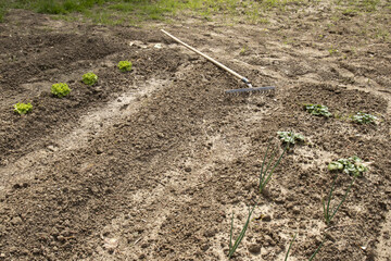 COLTIVARE AGRICOLTURA BIOLOGICA