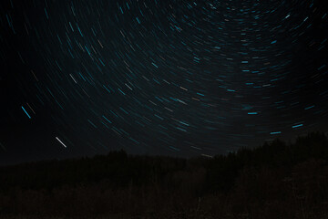 Fototapeta premium night forest in the background of the starry sky