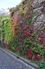 In the Montmartre streets