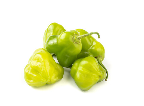 Green cambuci peppers isolated over white background. Typical brazilian ingredient