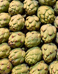 A vertical shot of fresh artichokes