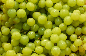 A selective focus shot of fresh green grapes