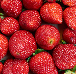 A vertical shot of juicy fresh strawberries