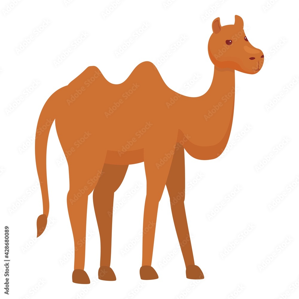 Poster caravan camel icon. cartoon of caravan camel vector icon for web design isolated on white background