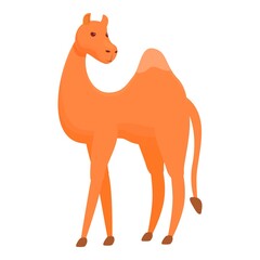 Cute camel icon. Cartoon of Cute camel vector icon for web design isolated on white background