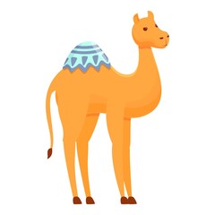 Dubai camel icon. Cartoon of Dubai camel vector icon for web design isolated on white background