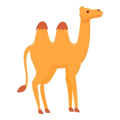 Mammal camel icon. Cartoon of Mammal camel vector icon for web design isolated on white background