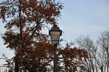 Walking in Montmartre
