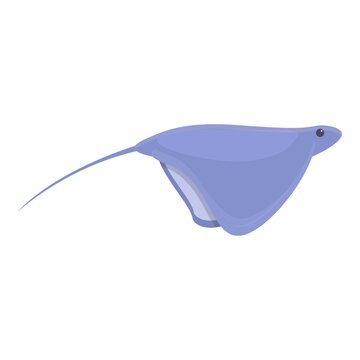 Swimming stingray icon. Cartoon of Swimming stingray vector icon for web design isolated on white background