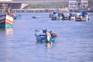 boats on the beach