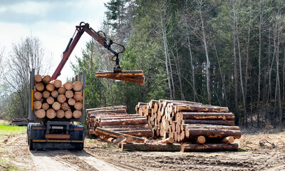 Fototapeta na wymiar Log loader or forestry machine loads a log truck