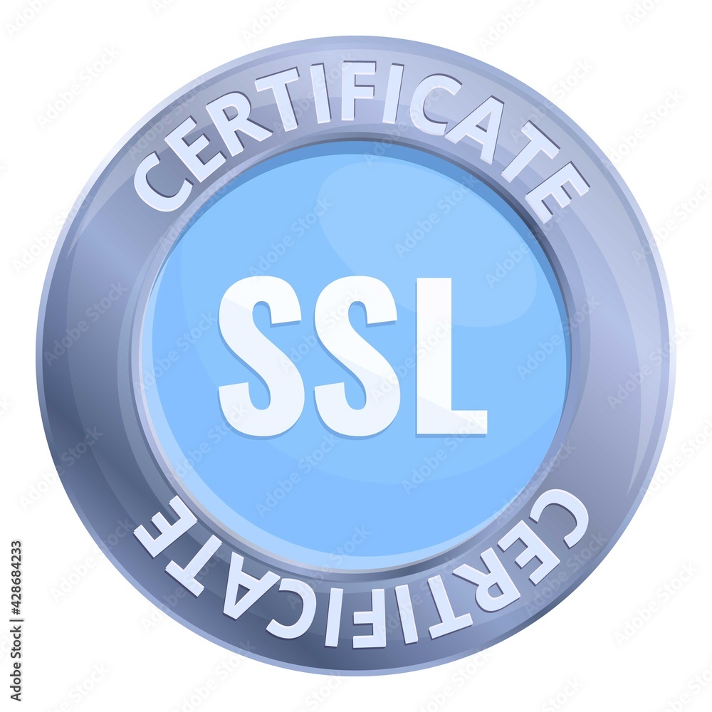 Poster connection ssl certificate icon. cartoon of connection ssl certificate vector icon for web design is