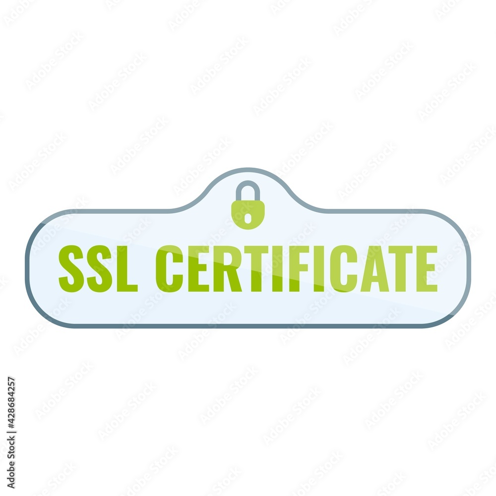 Poster data ssl certificate icon. cartoon of data ssl certificate vector icon for web design isolated on wh