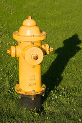 Fire Hydrant in Grass Vertical