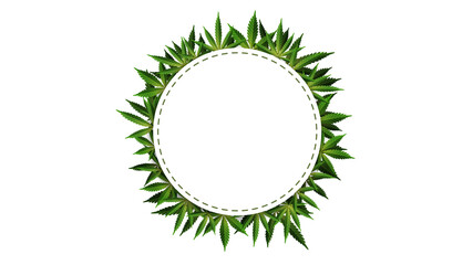 Circle frame of hemp leaves around a white empty space. Cannabis Leaf Frame Template for the Cannabis Industry