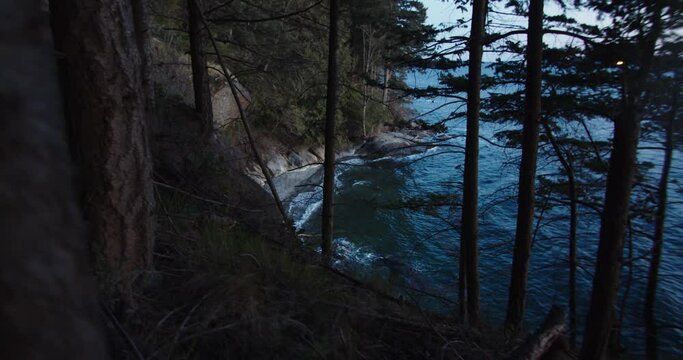 Pacific Forest at Sunset view of puget sound