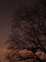 Anoitecer e Lua