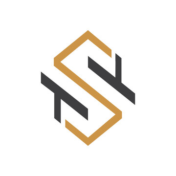 initial letter ts or st logo vector design template