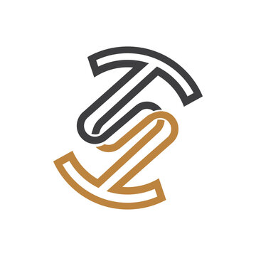 initial letter ts or st logo vector design template