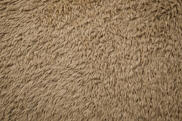 Shaggy fur rug texture.