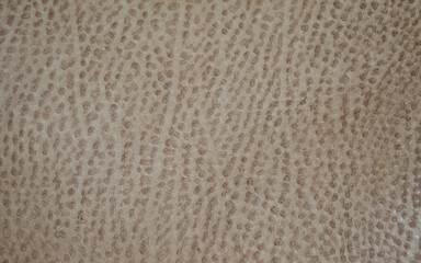 Beige natural leather texture for background.