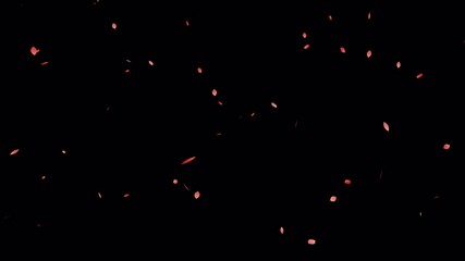 4k video footage of falling red leaves with alpha channel.